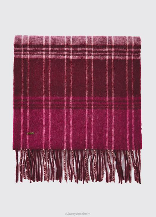 gleneagle ullscarf 4VXX331 Tillbehör vinbär Dubarry kvinnor